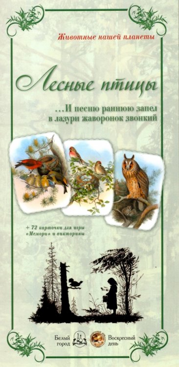 Животный мир "Лесные птицы. И песню раннюю..."