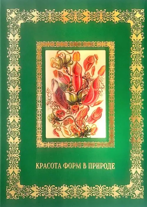 Великие полотна Красота форм в природе. Э. Геккель