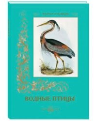 Водные птицы