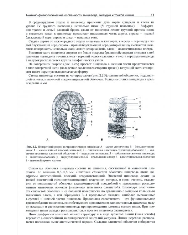 Эндоскопическая диагностика и лечение заболеваний пищевода, желудка и тонкой кишки