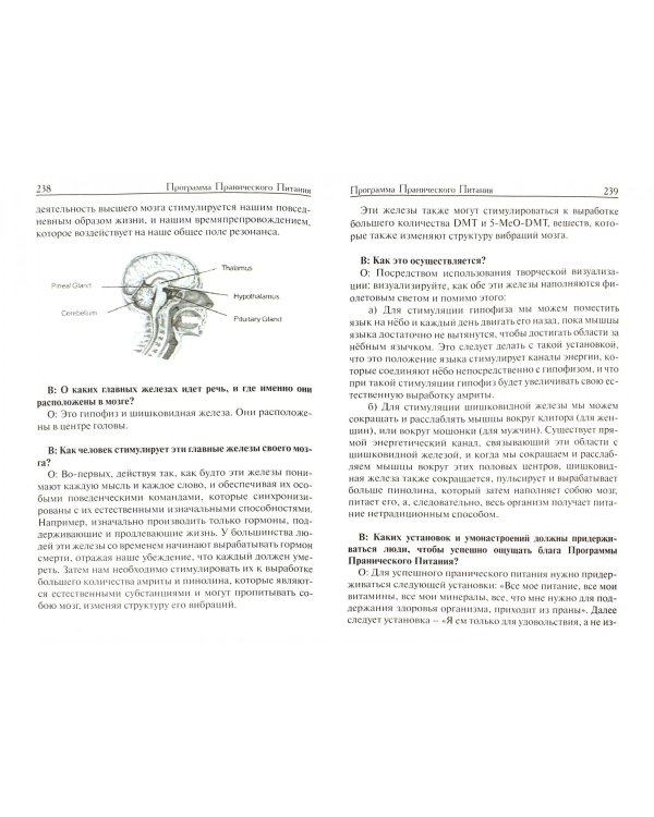 Программа пранического питания