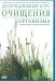 DVD. Десятидневный курс очищения организма