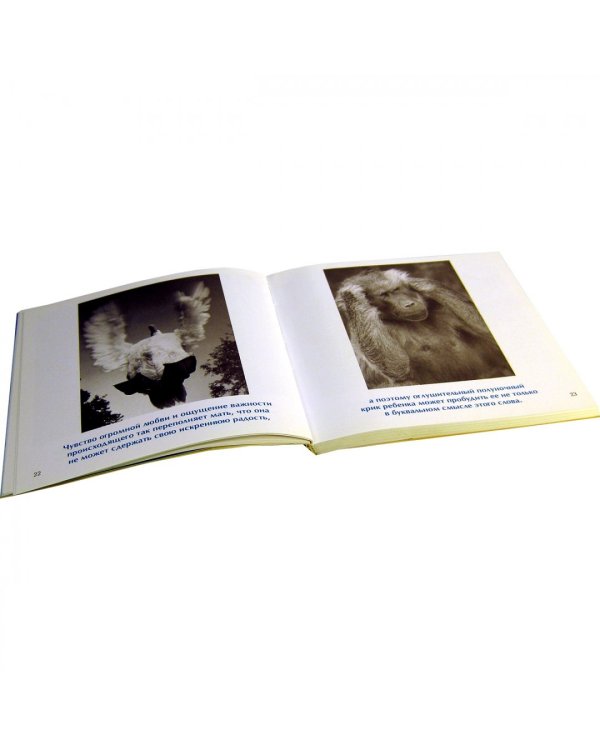 Невероятная правда о материнстве