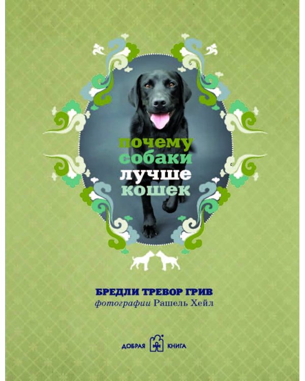 Почему собаки лучше кошек