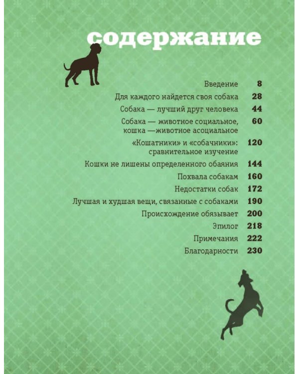 Почему собаки лучше кошек