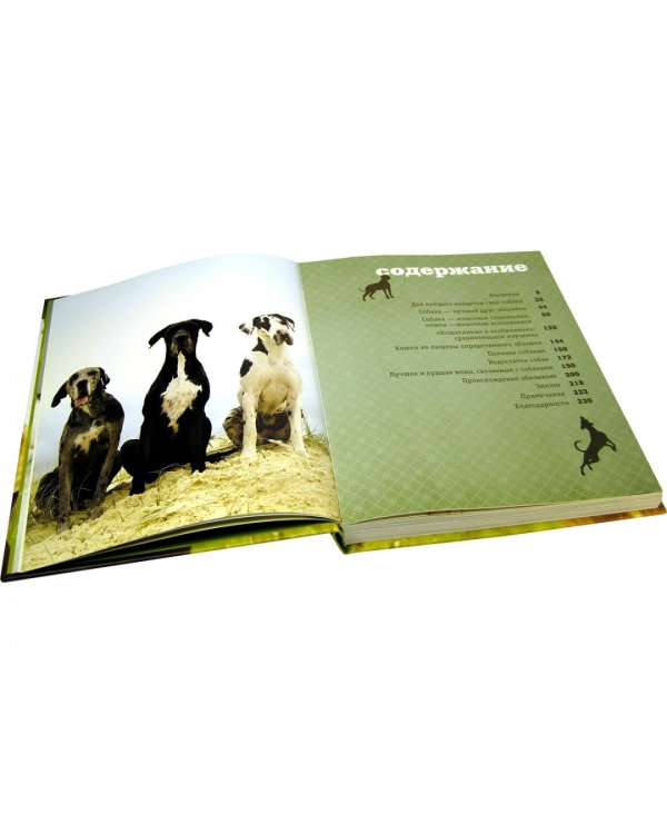 Почему собаки лучше кошек