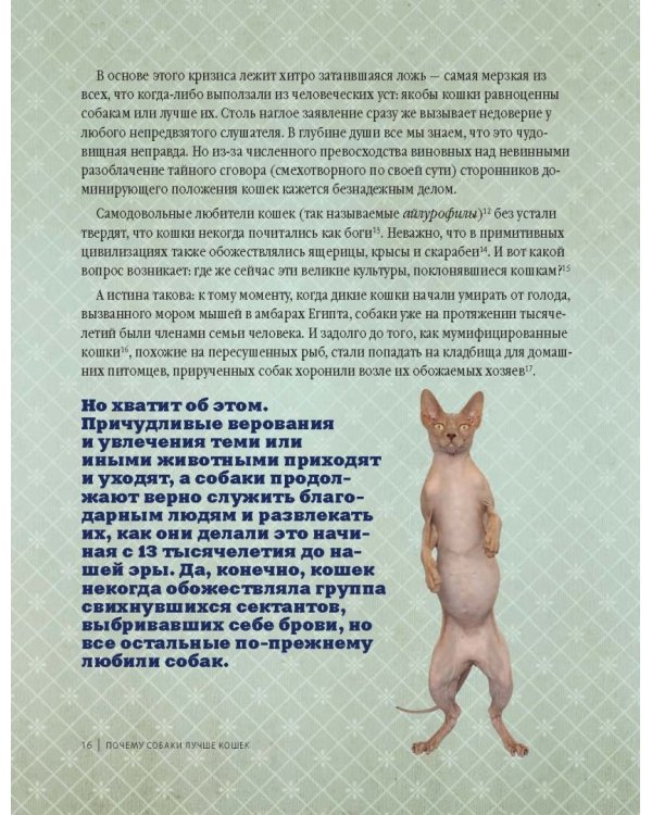 Почему собаки лучше кошек