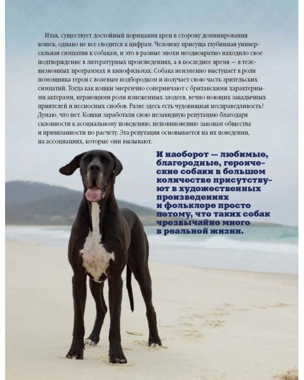 Почему собаки лучше кошек