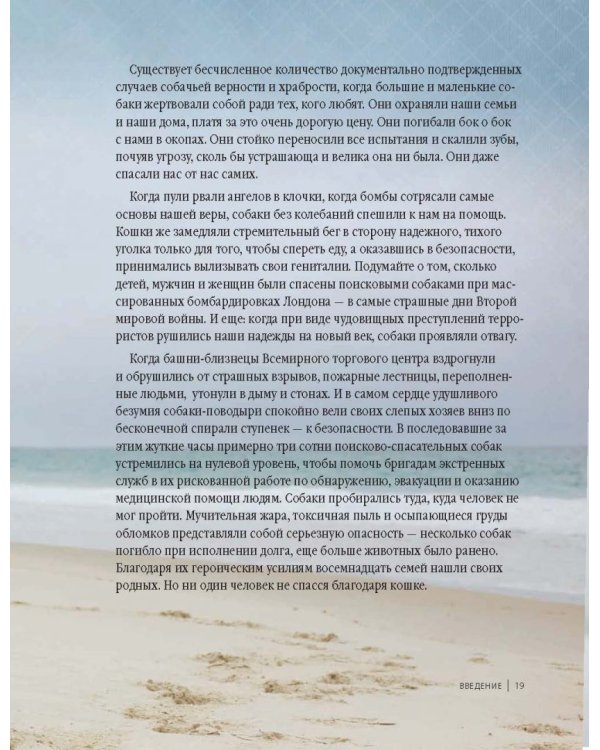 Почему собаки лучше кошек