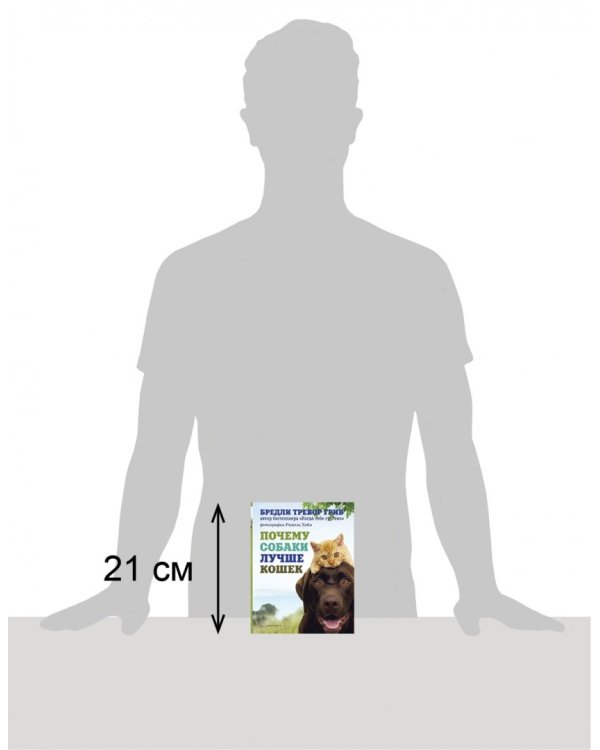 Почему собаки лучше кошек