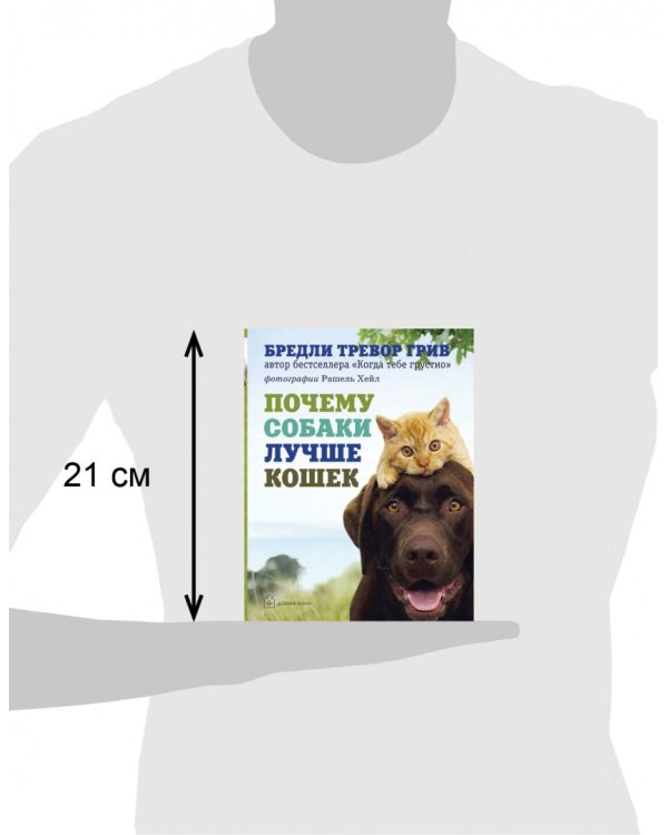 Почему собаки лучше кошек