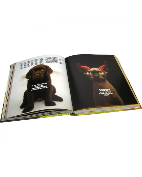 Почему собаки лучше кошек