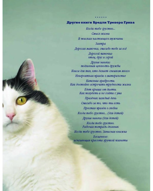 Почему собаки лучше кошек