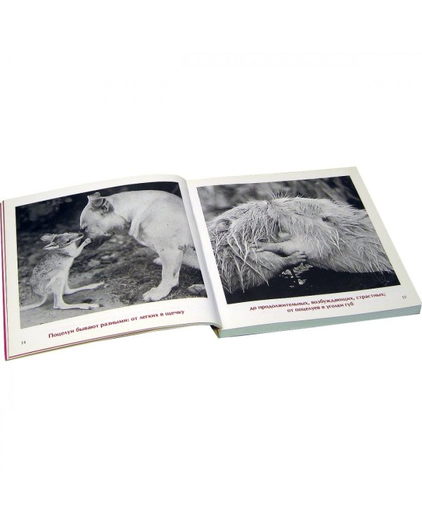 Простая правда о любви