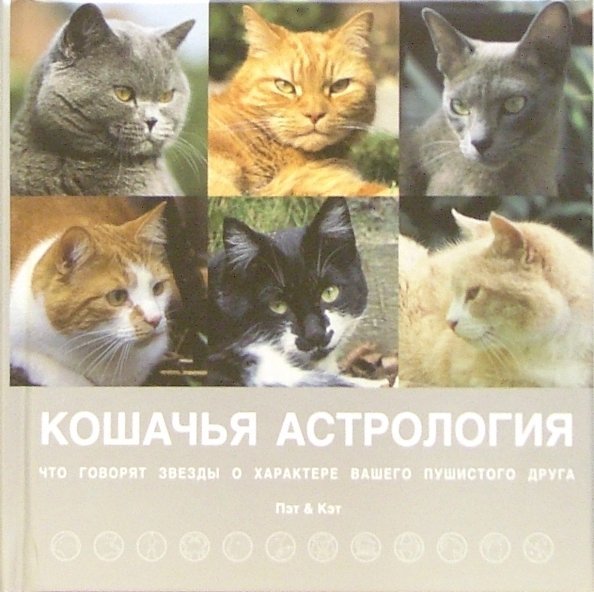 Кошачья астрология. Что говорят звёзды о характере вашего пушистого друга