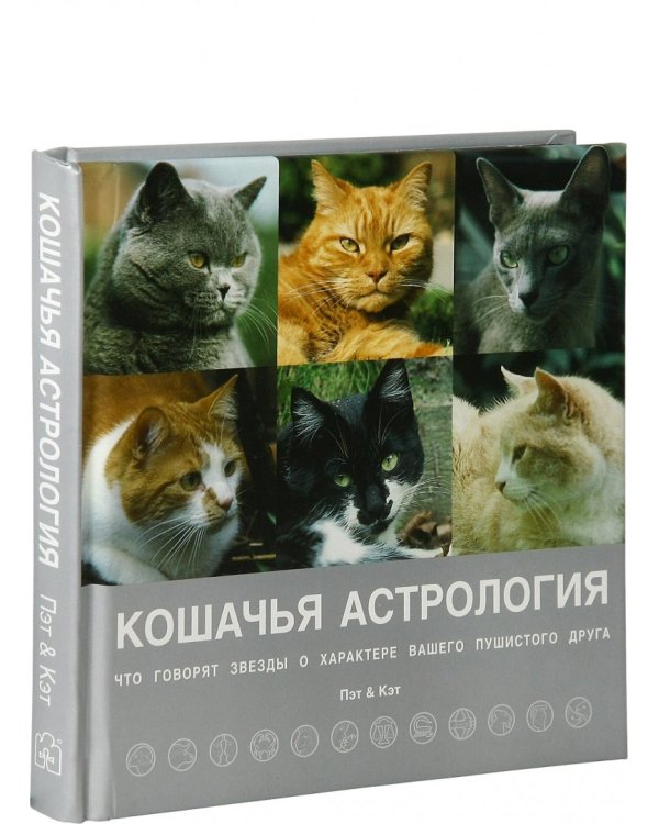 Кошачья астрология. Что говорят звёзды о характере вашего пушистого друга