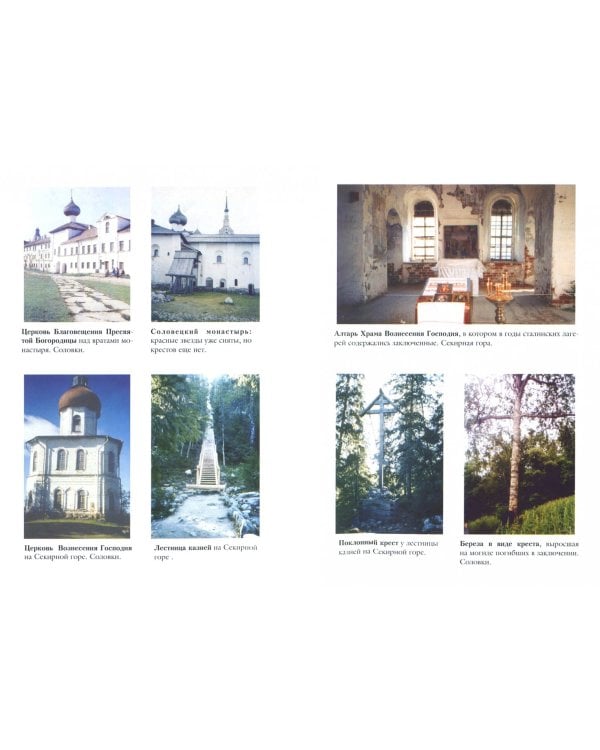 Я снова в России