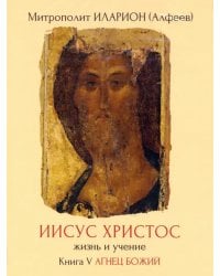 DVD. Иисус Христос. Жизнь и учение. Книга V