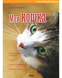 Моя кошка