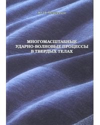 Многомасштабные ударно-волновые процессы в твердых телах