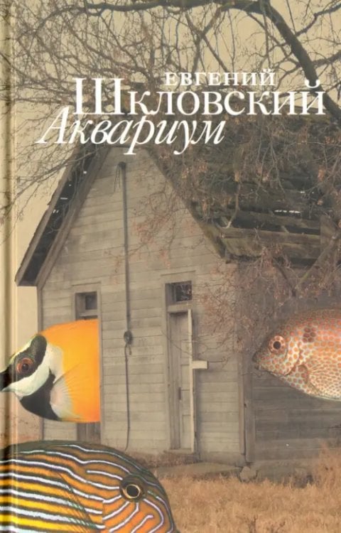 Аквариум Аквариум