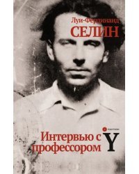 Интервью с профессором Y
