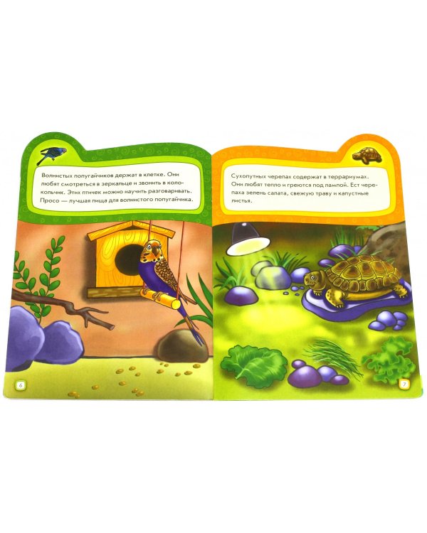 Мои любимцы