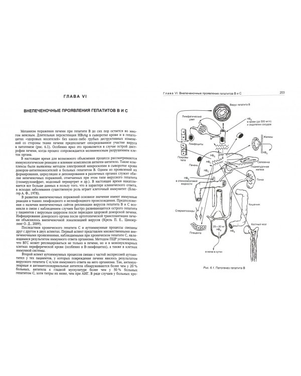 Вопросы гепатологии. Учебное пособие