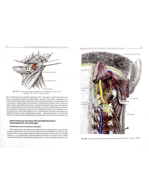 Диагностика и лечение ранений шеи