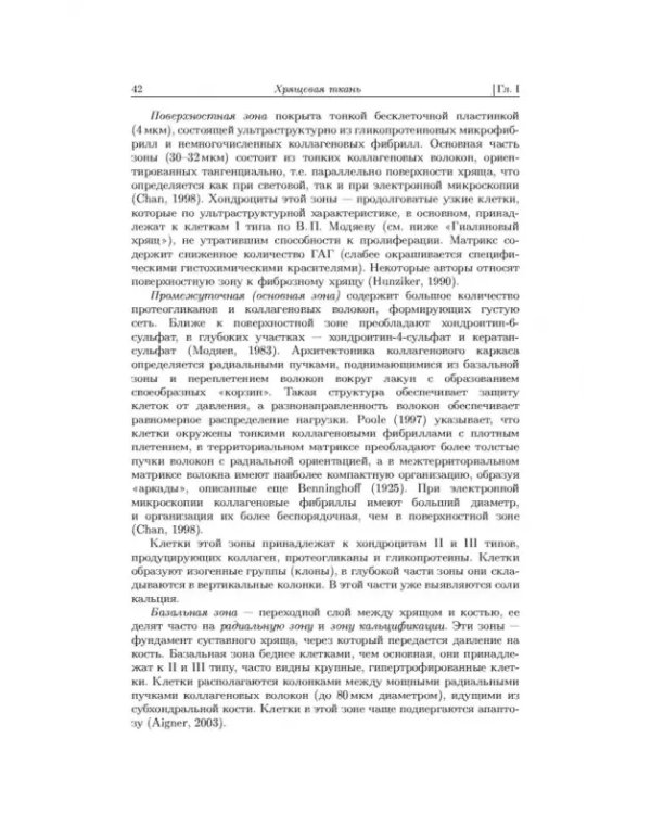 Дополнительное изображение книги «Лазерная инженерия хрящей»