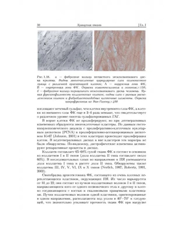 Дополнительное изображение книги «Лазерная инженерия хрящей»