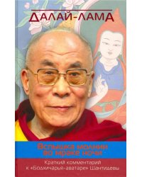 Вспышка молнии во мраке ночи. Краткий комментарий к &quot;Бодхичарья-аватаре&quot; Шантидевы