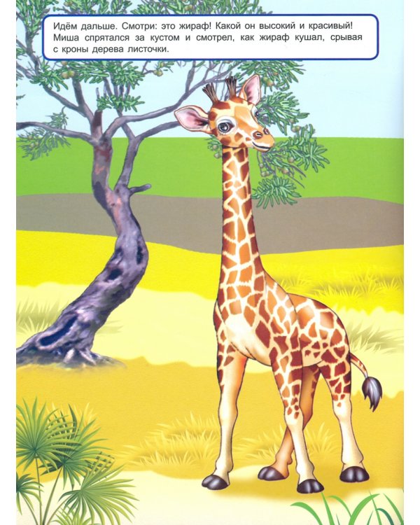 Мы идём в поход (книжка с многоразовыми наклейками)