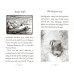 Дополнительное изображение книги «Beatrix Potter Collection. Volume Two»