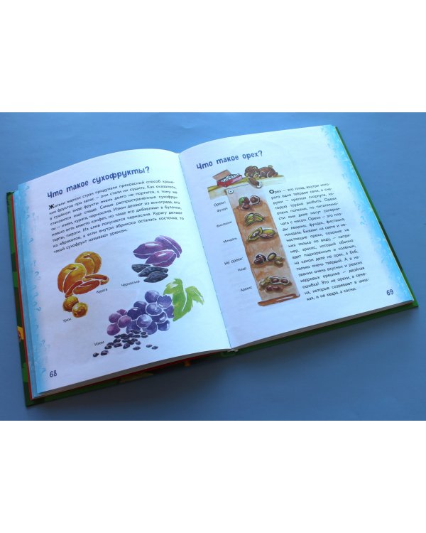 Миллион вопросов о живой и неживой природе, человеке и обществе и самых разных любопытных вещах