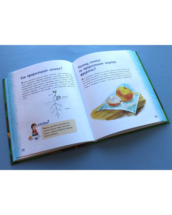 Миллион вопросов о живой и неживой природе, человеке и обществе и самых разных любопытных вещах