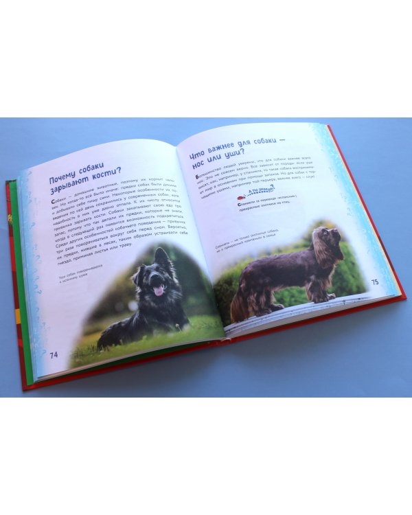 Миллион вопросов о животных, обо мне и мире вокруг и самых разных любопытных вещах