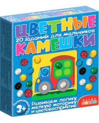 Цветные камешки. Задания для мальчиков