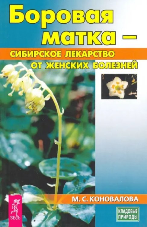 Кладовые природы Боровая матка - сибирское лекарство от женских болезней