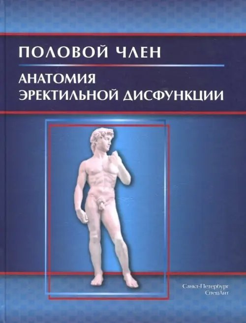 Половой член. Анатомия эректильной дисфункции Половой член. Анатомия эректильной дисфункции