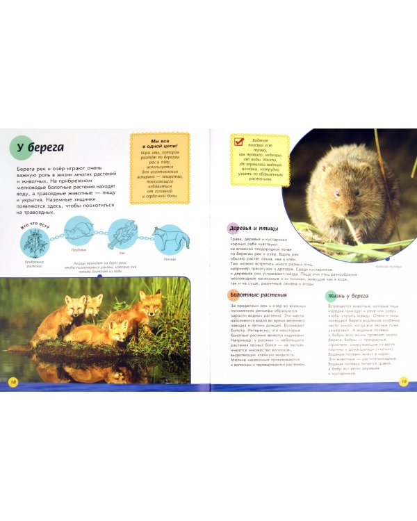 Кто кого ест в реках и озерах?