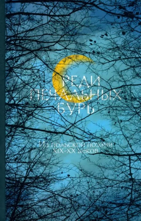 "Среди печальных бурь". Из польской поэзии XIX-XX веков "Среди печальных бурь". Из польской поэзии XIX-XX веков