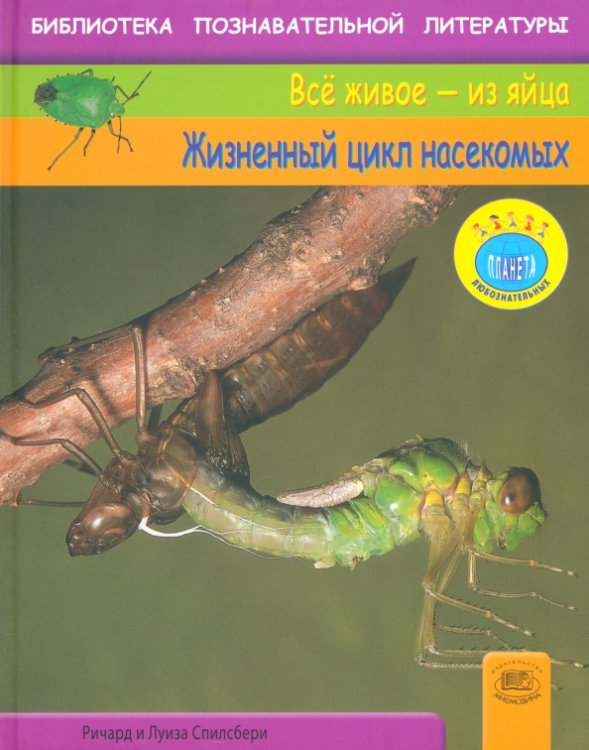 Все живое - из яйца Жизненный цикл насекомых