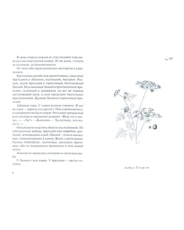 Дополнительное изображение книги «Сад»