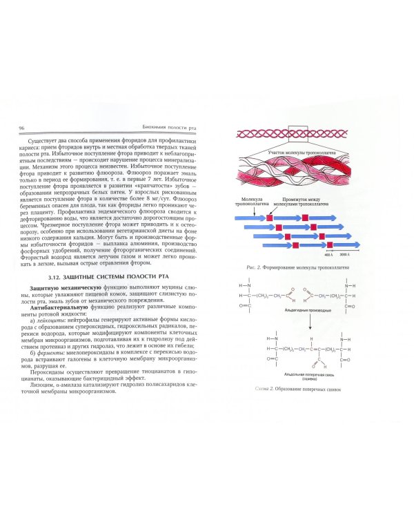 Биохимия полости рта. Учебное пособие
