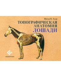 Топографическая анатомия лошади