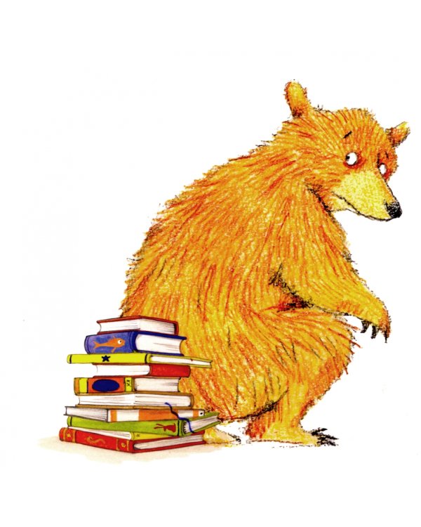 Bear and Hare: Wheres Bear? (board bk)'