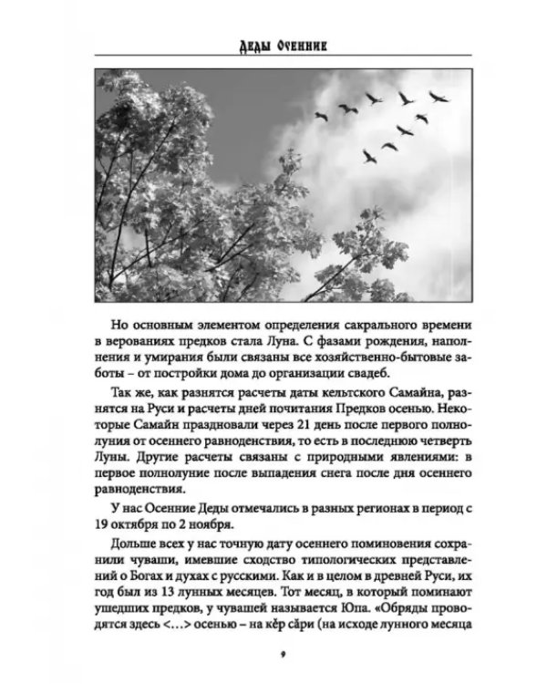 Дополнительное изображение книги «Деды Осенние. Традиции, обряды, заговоры, гадания осенних дней почитания предков на Руси»