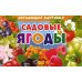 Комплект карточек. Садовые ягоды 