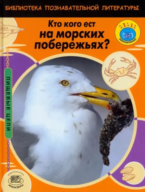 Пищевые цепи Кто кого ест на морских побережьях?
